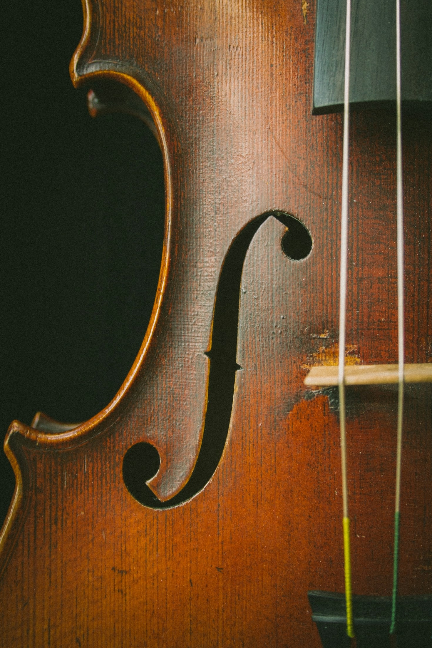 Stories That Shape a Violinist’s Journey